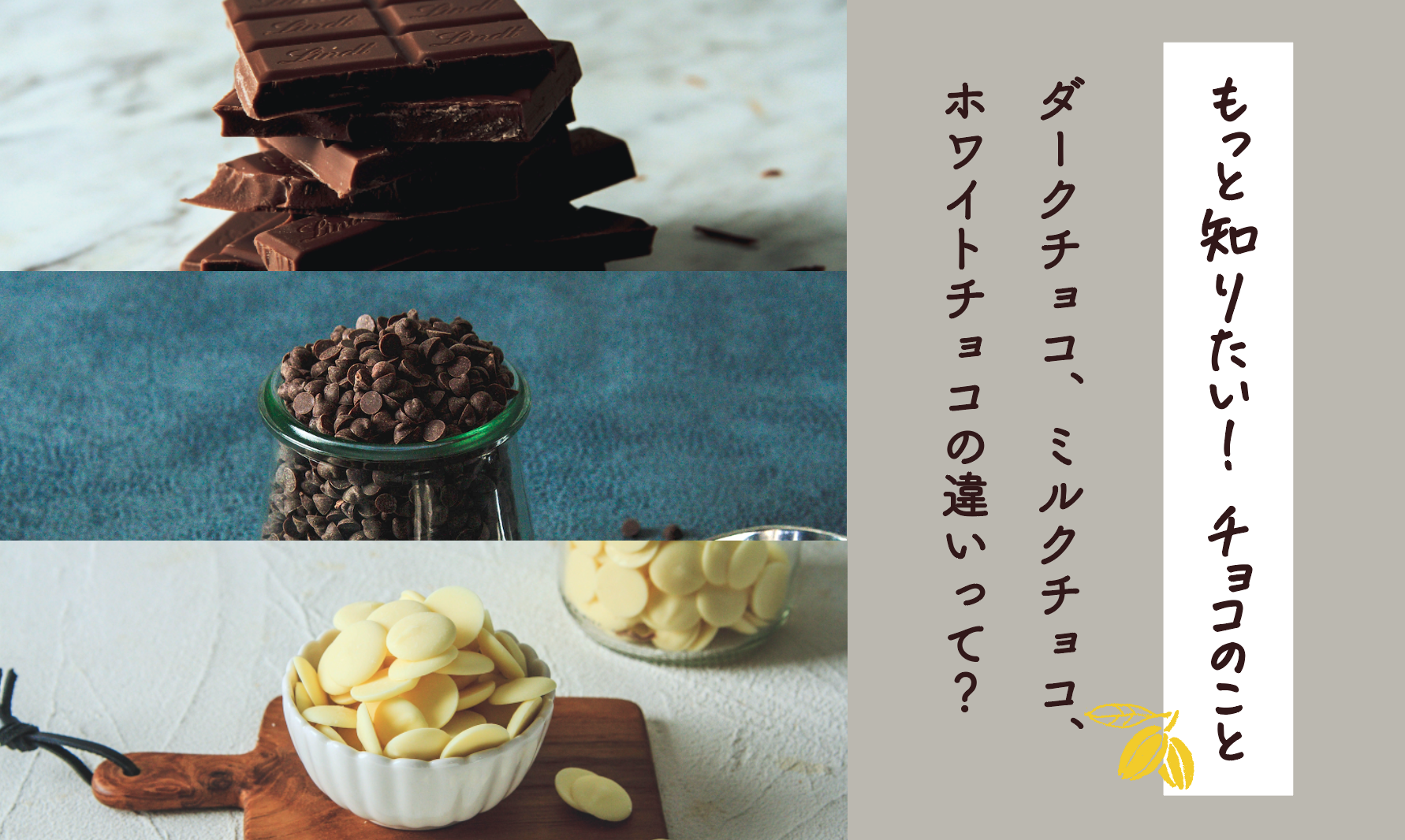 【もっと知りたい！チョコのことVol.６】ダークチョコ、ミルクチョコ、ホワイトチョコの違いって？