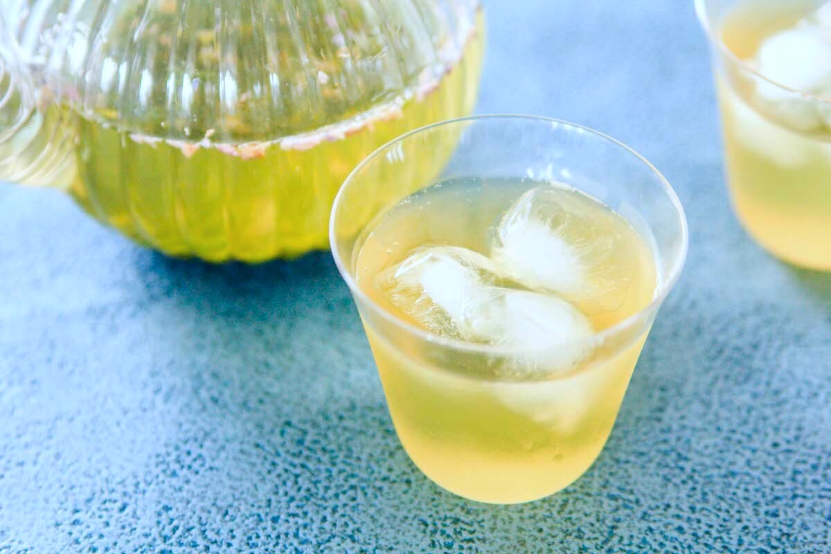 【toroaおうちカフェ｜Twitterで1万いいねで話題】緑茶の「氷だし」作り方