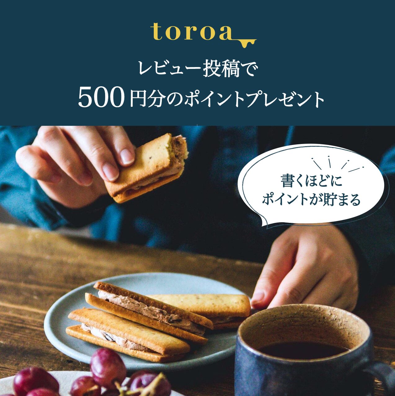 レビュー投稿で500円分のポイントをプレゼント。商品のご感想をぜひお聞かせください!